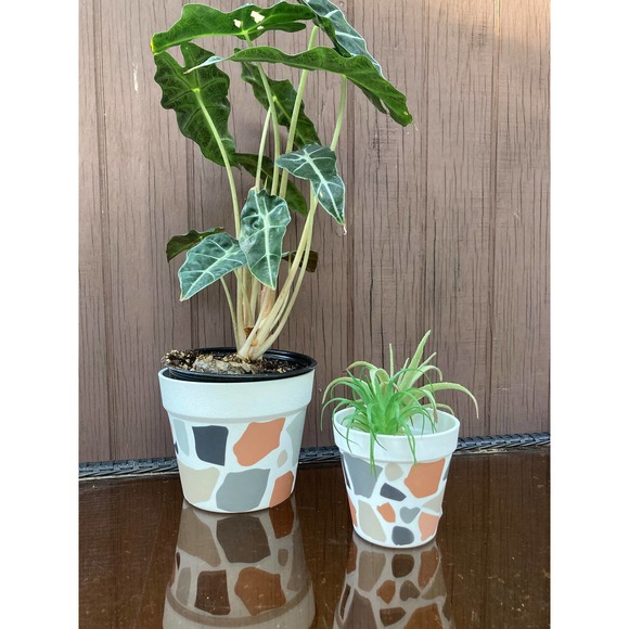 TERRAZZO Pattern Planter - Small Flower Plant Pot - Indoor Outdoor Planter - Picture 3 of 6